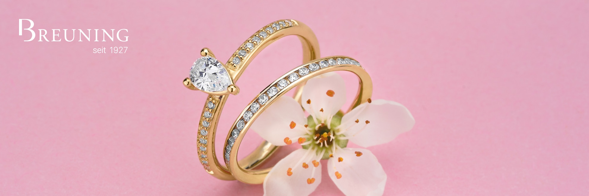 Breuning Solitaire